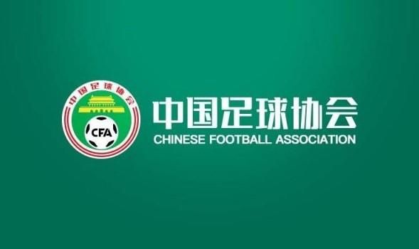 程伟婷置身于一片绿地之中，双手捧着一个精致的木盒，表情略显悲伤，仿佛在守护生命最后的尊严